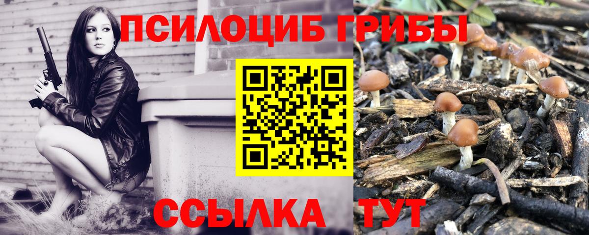 Галлюциногенные грибы MAGIC MUSHROOMS  Псилоцибиновые грибы Magic Shrooms  Вход с VPN  Баксан 