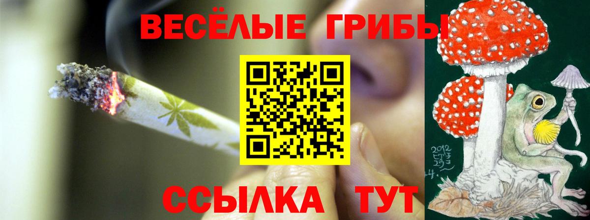 Псилоцибиновые грибы Cubensis Баксан